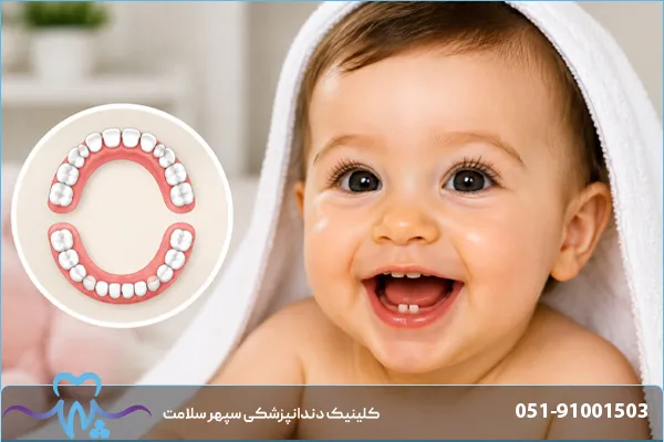 اولین دندان کودک چه زمانی درمی‌آید؟ جدول زمان‌بندی رویش دندان‌ها